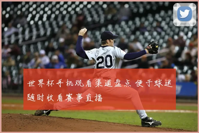 世界杯手机观看渠道盘点 便于球迷随时收看赛事直播