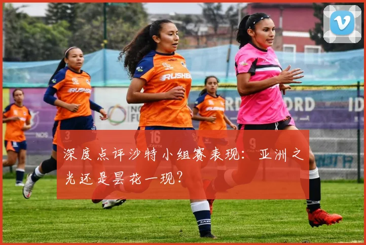 深度点评沙特小组赛表现:亚洲之光还是昙花一现?
