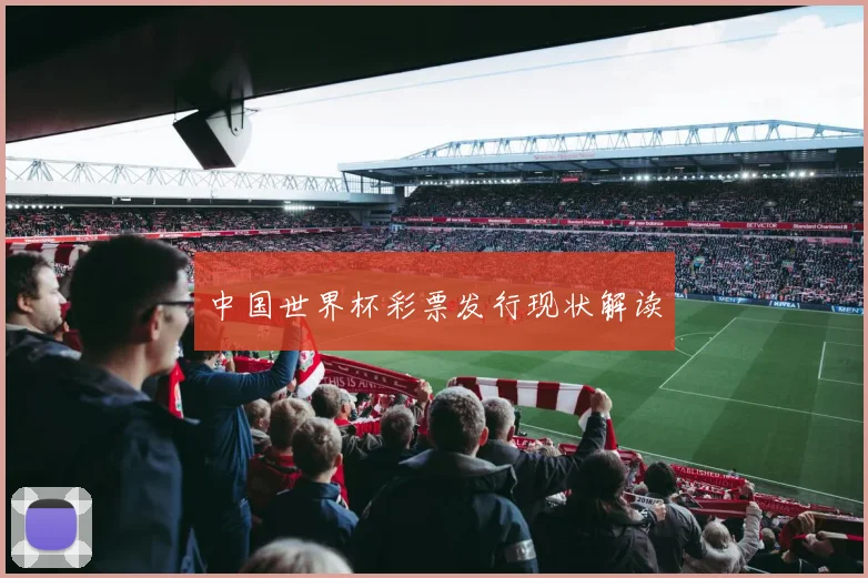 中国世界杯彩票发行现状解读