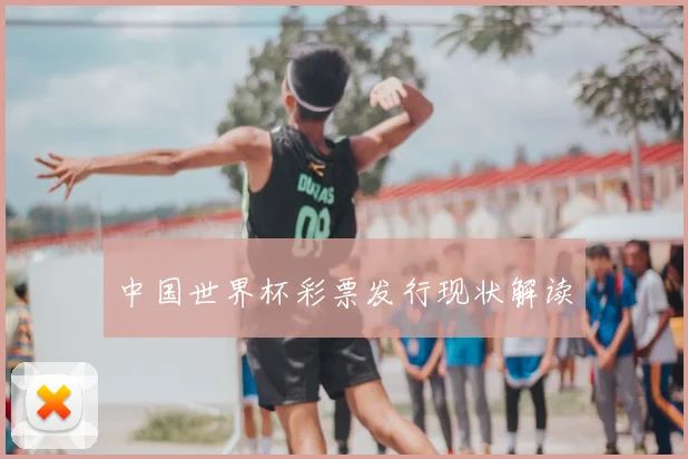 中国世界杯彩票发行现状解读