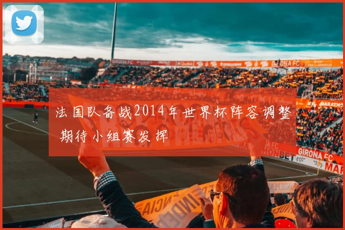 法国队备战2014年世界杯阵容调整 期待小组赛发挥